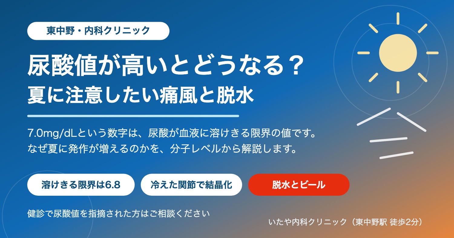尿酸値が高いとどうなるか 夏に注意したい痛風と脱水を東中野の内科が解説