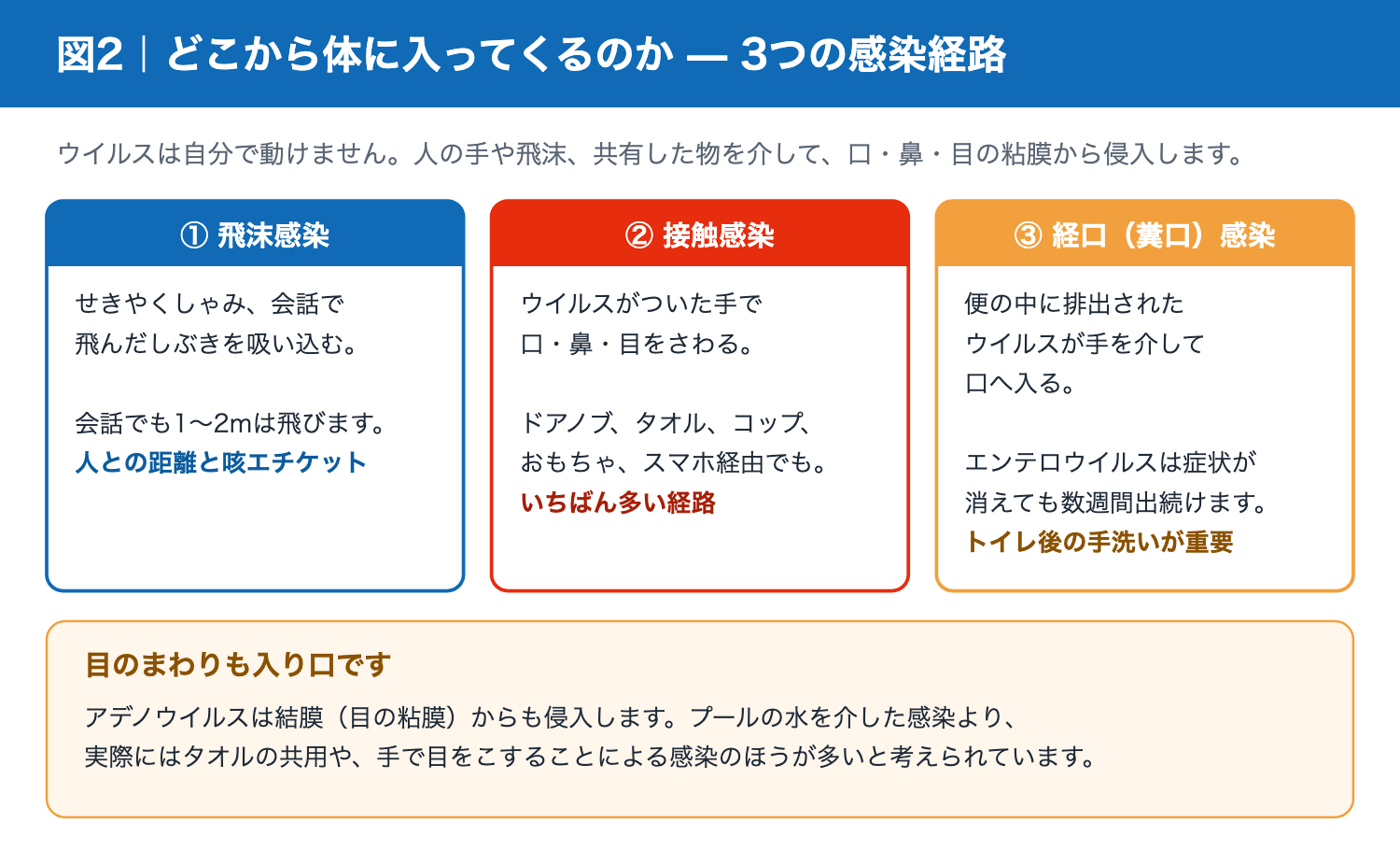 夏風邪の3つの感染経路(飛沫・接触・経口)