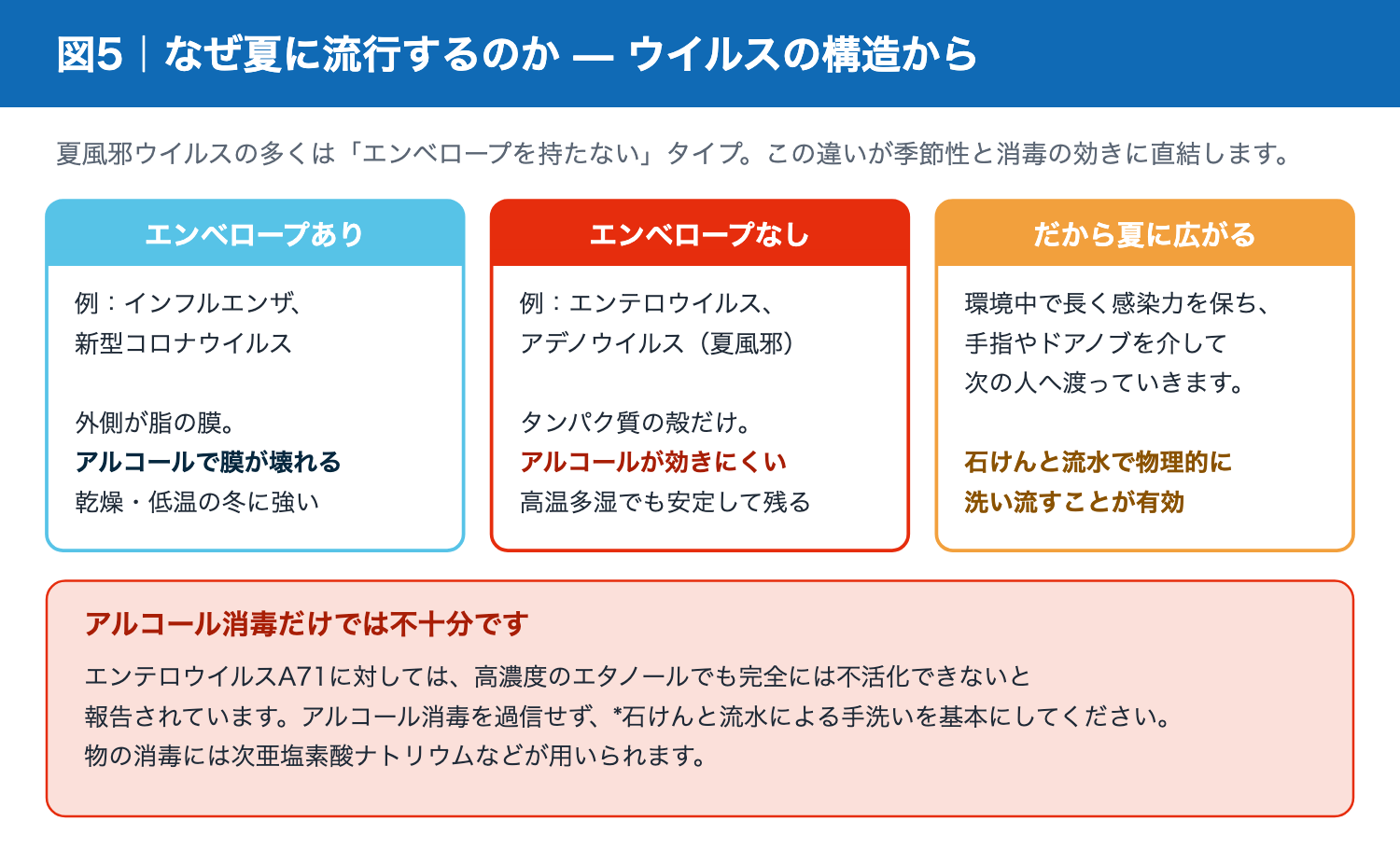 エンベロープの有無によるウイルスの違いと消毒への影響