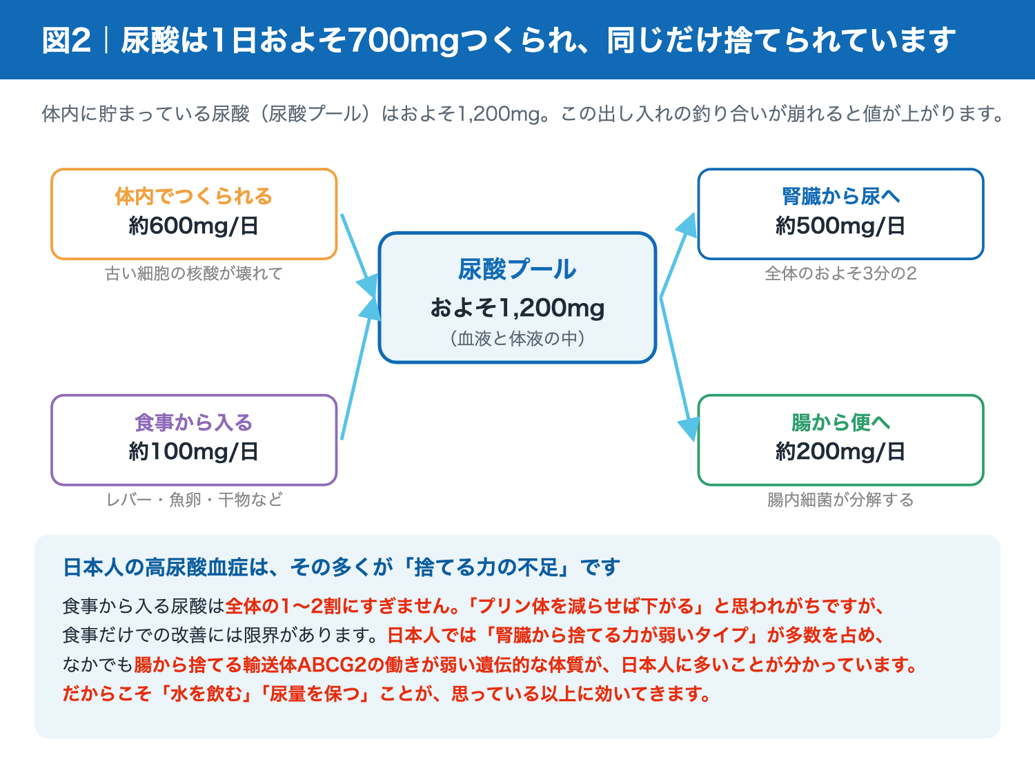 尿酸の1日あたりの産生と排泄のバランス
