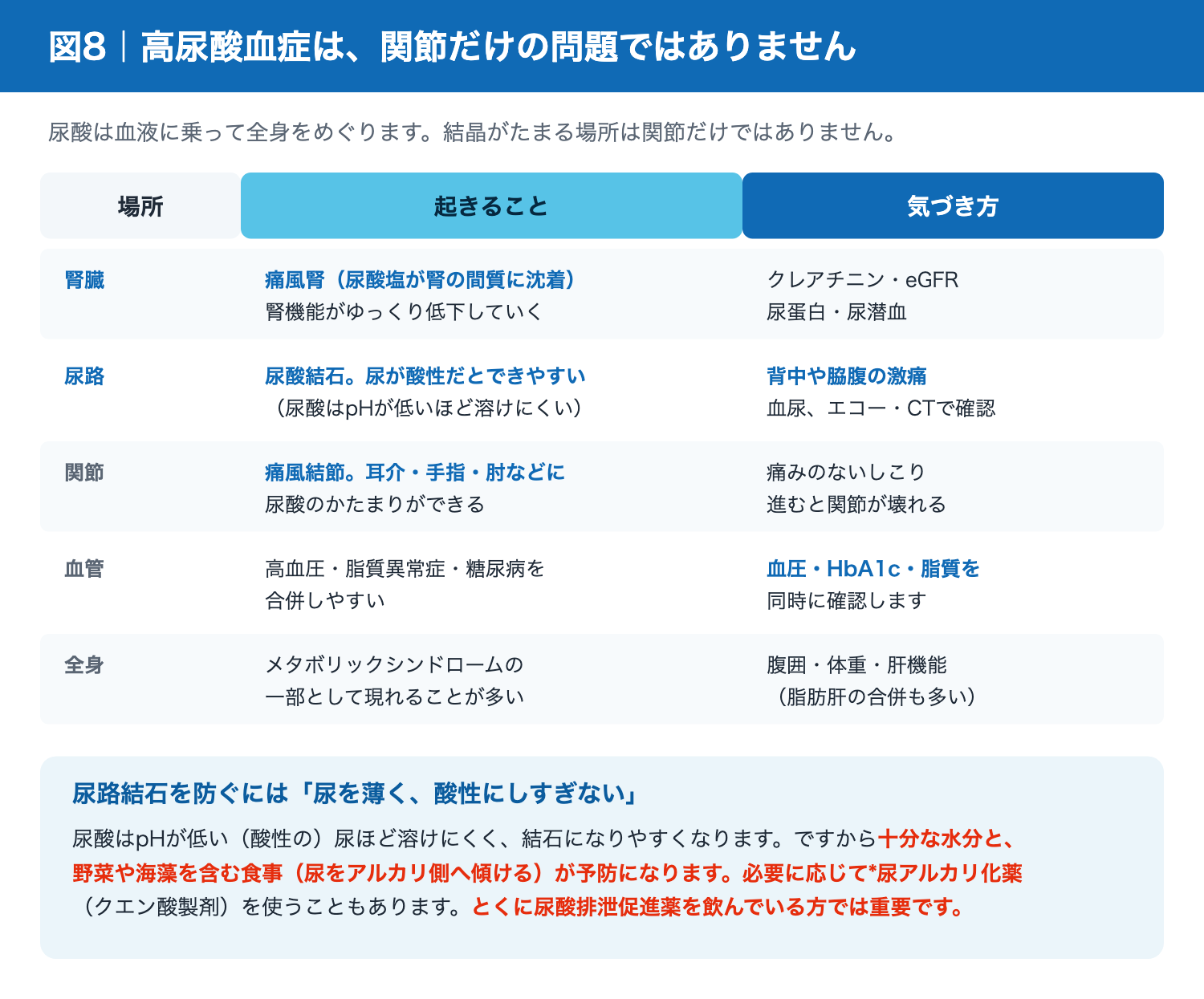 高尿酸血症による腎臓・尿路・血管への影響