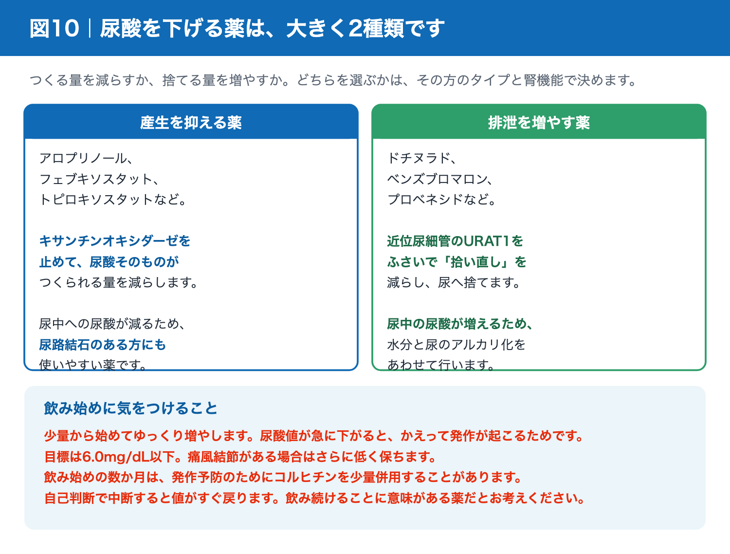 尿酸降下薬の2つの種類と作用点