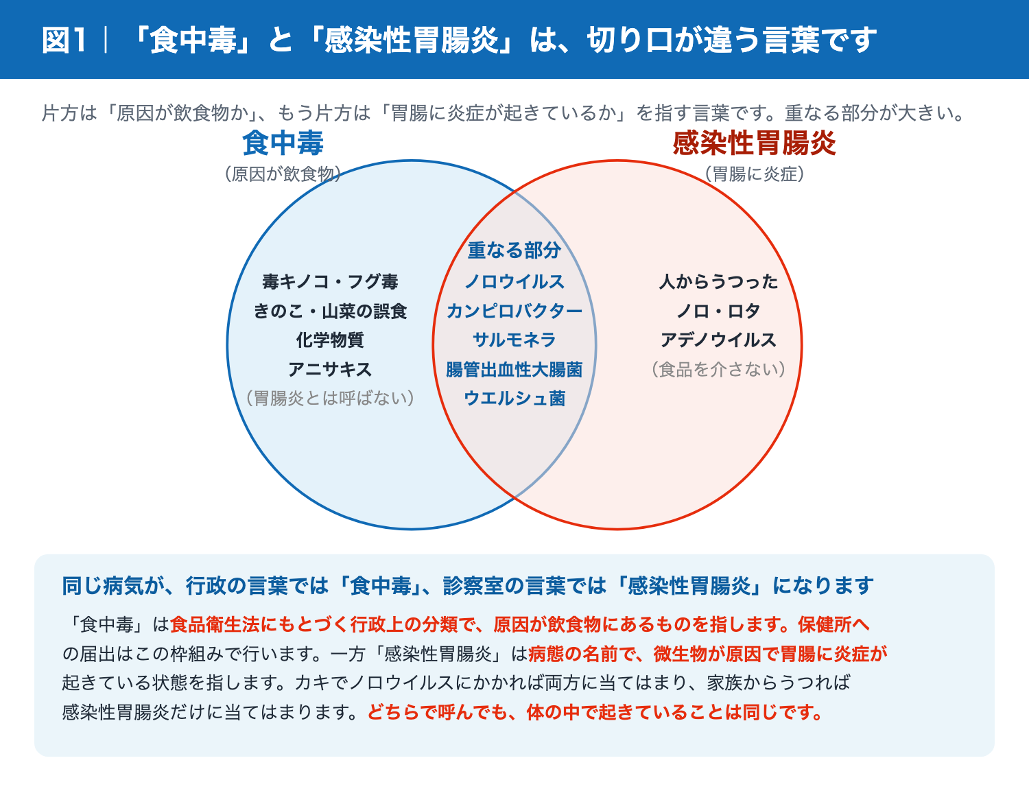 食中毒と感染性胃腸炎の関係を示すベン図