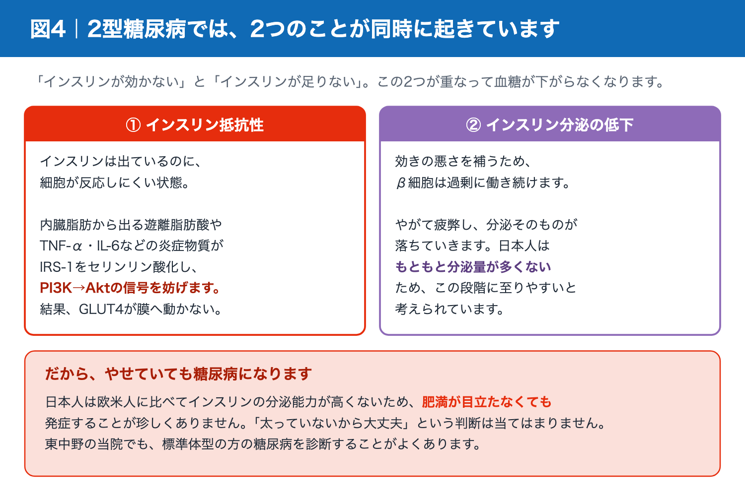 インスリン抵抗性とインスリン分泌低下が重なって2型糖尿病になるしくみ
