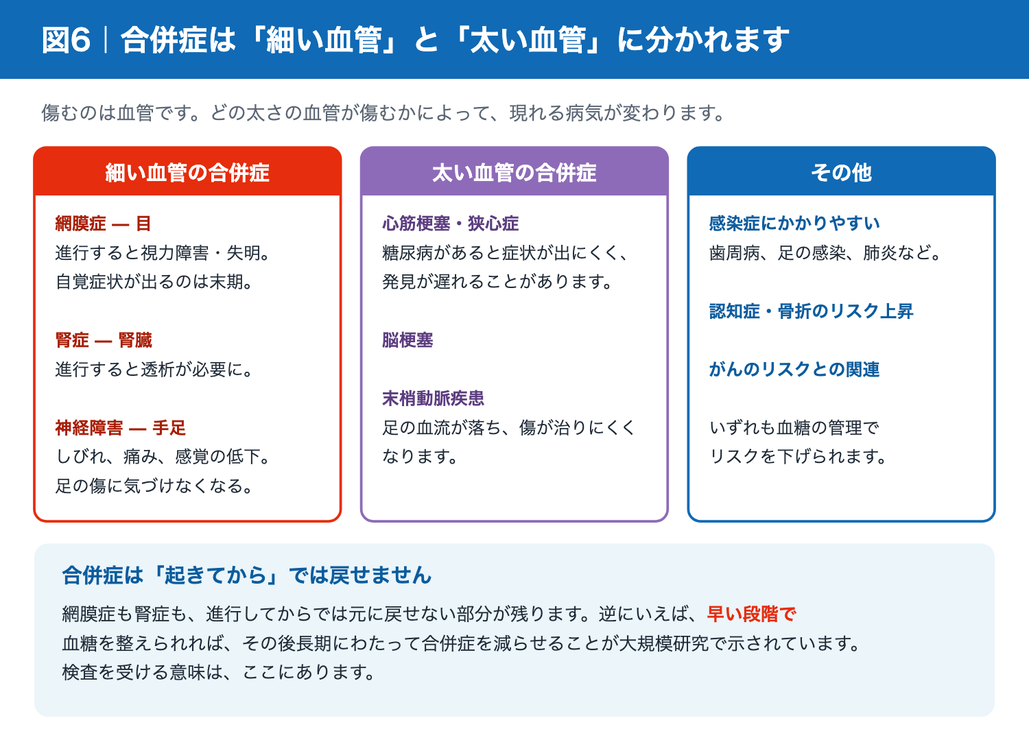 糖尿病の合併症:細小血管障害と大血管障害