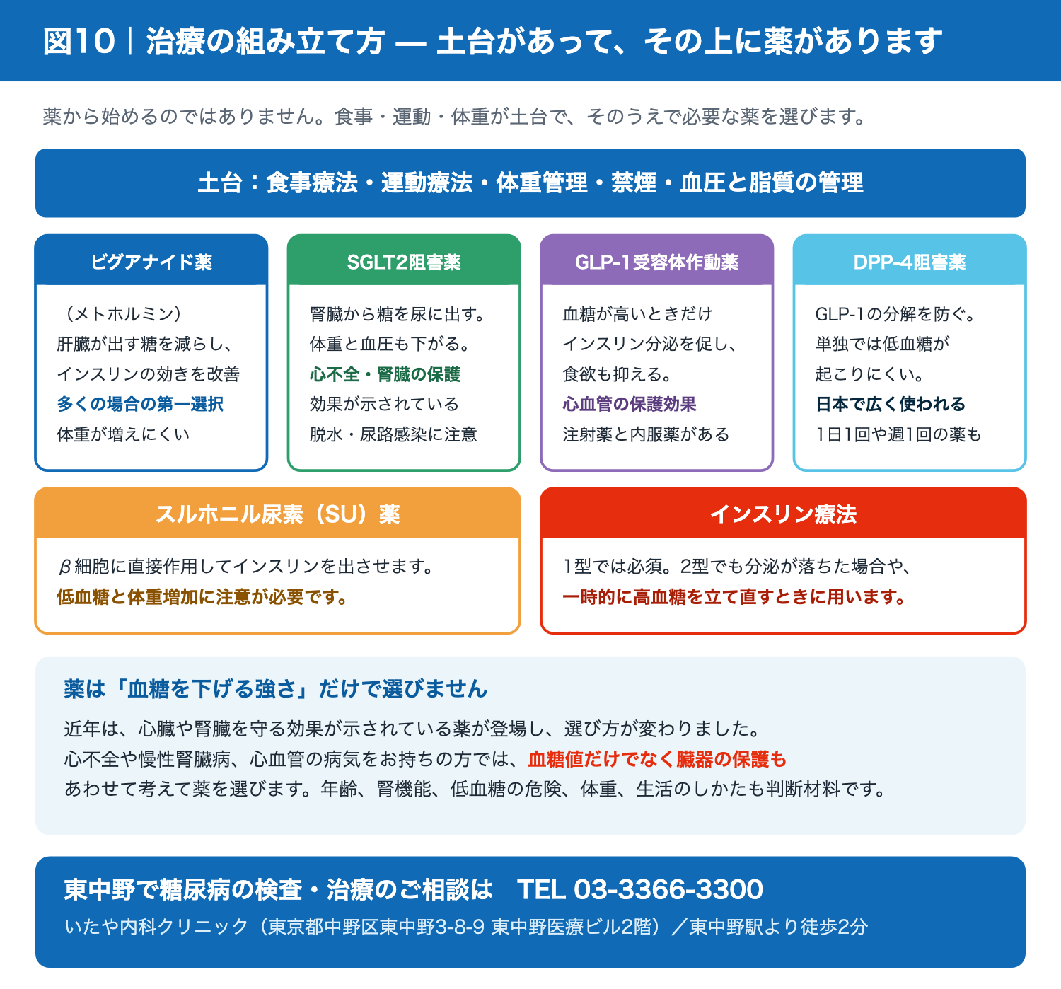糖尿病治療の組み立て:食事・運動を土台とした薬物療法の選択肢